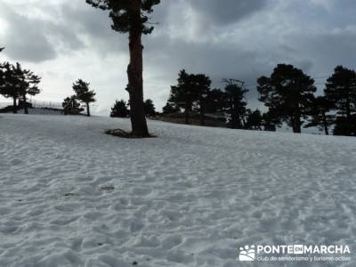 Ruta por el valle de Fuenfría, Siete Picos; sierra de madrid senderismo; rutas por la sierra